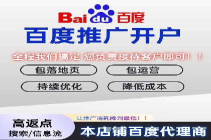 百度广告投放的创意策略及案例分析